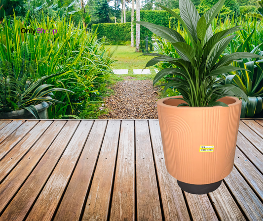 Macetero Threshold – Elegancia Natural en Terracota (30 cm de alto)